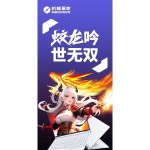 机械革命 蛟龙16Pro 锐龙 9 8940HX 16英寸RTX5060笔记本电脑